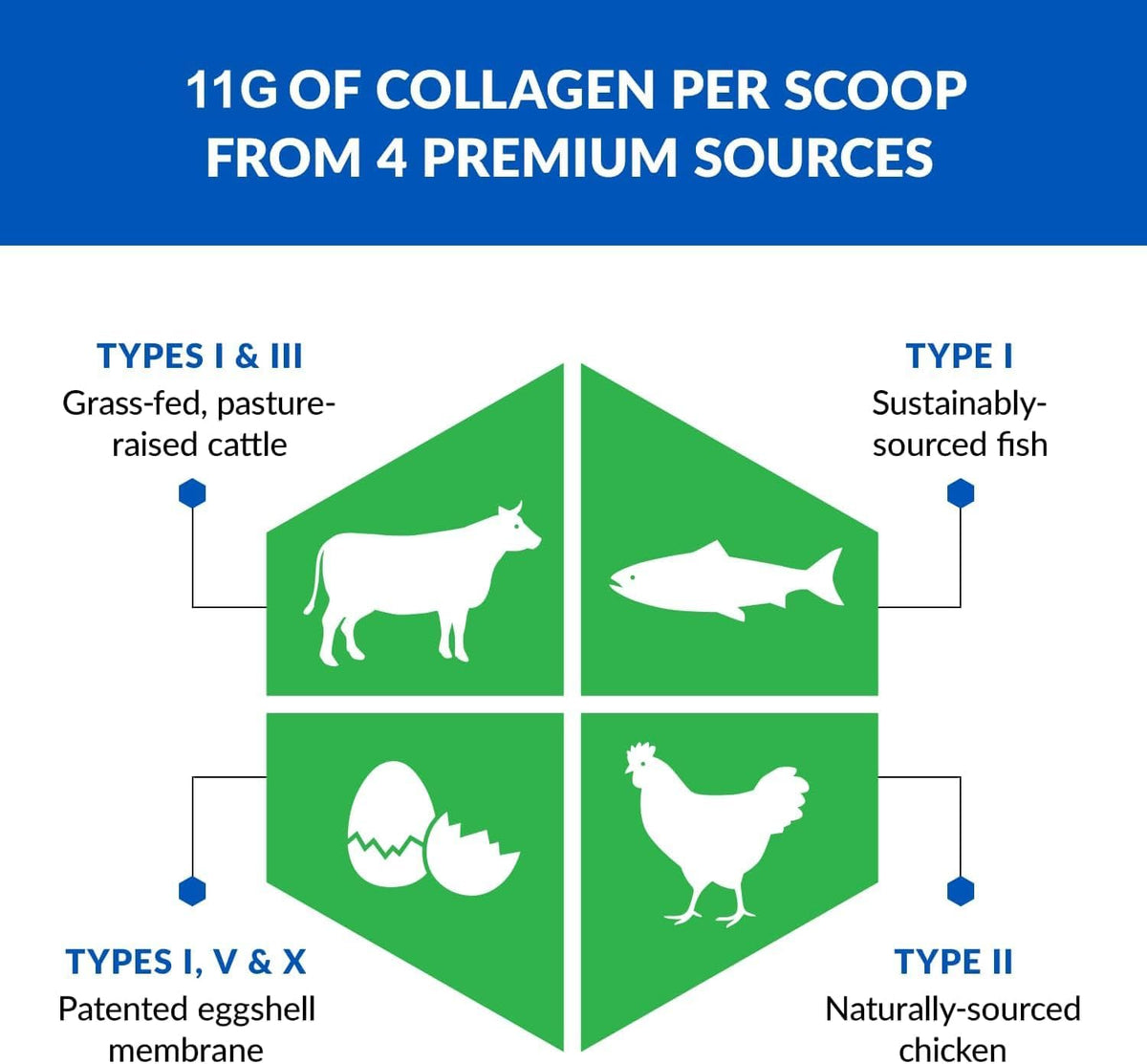 BioTrust Multi Collagen Peptides Unflavored Powder - Hydrolyzed, Grass Fed