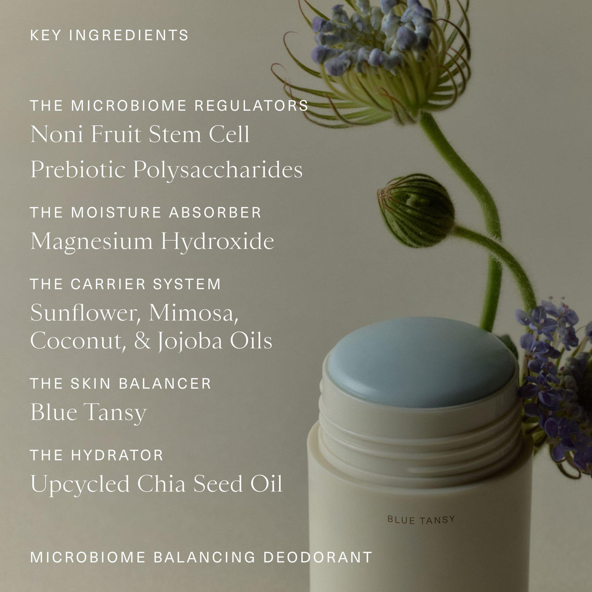 Oak Essentials Microbiome Balancing Deodorant, Aluminum-Free, Baking Soda-Free Deodorant for Women, All-Day Odor Protection, Gentle for Sensitive Skin with Blue Tansy, 1.7 Oz