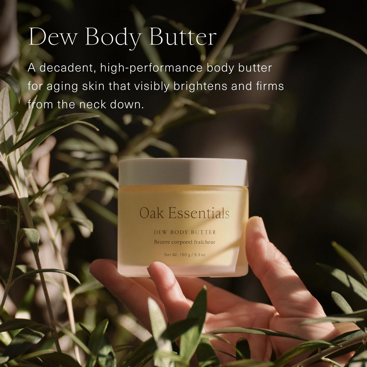 Oak Essentials Dew Body Butter, Whipped Shea Butter with Olive Tree Stem Cells and Sea Algae, Hydrating Body Moisturizer for Dry Skin, Crepiness, Firming, 5.3 Oz