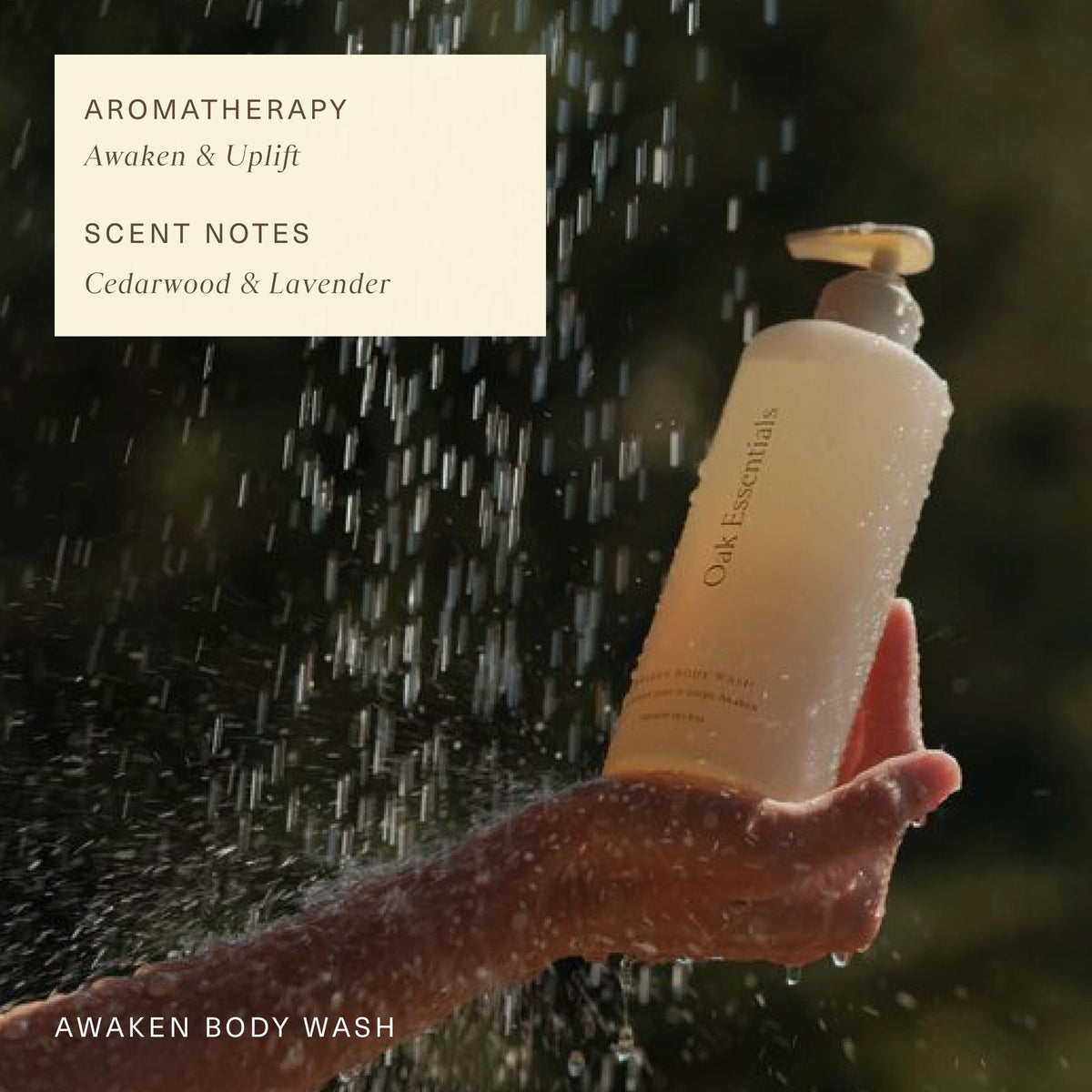 Oak Essentials Awaken Body Wash, Luxury Hydrating Shower Gel with Lavender Oil, Cedarwood Oil and Rice Bran Extract, Gentle Cleanser for Women, Ideal for Dry Skin, Travel Size, 1.7 Fl Oz
