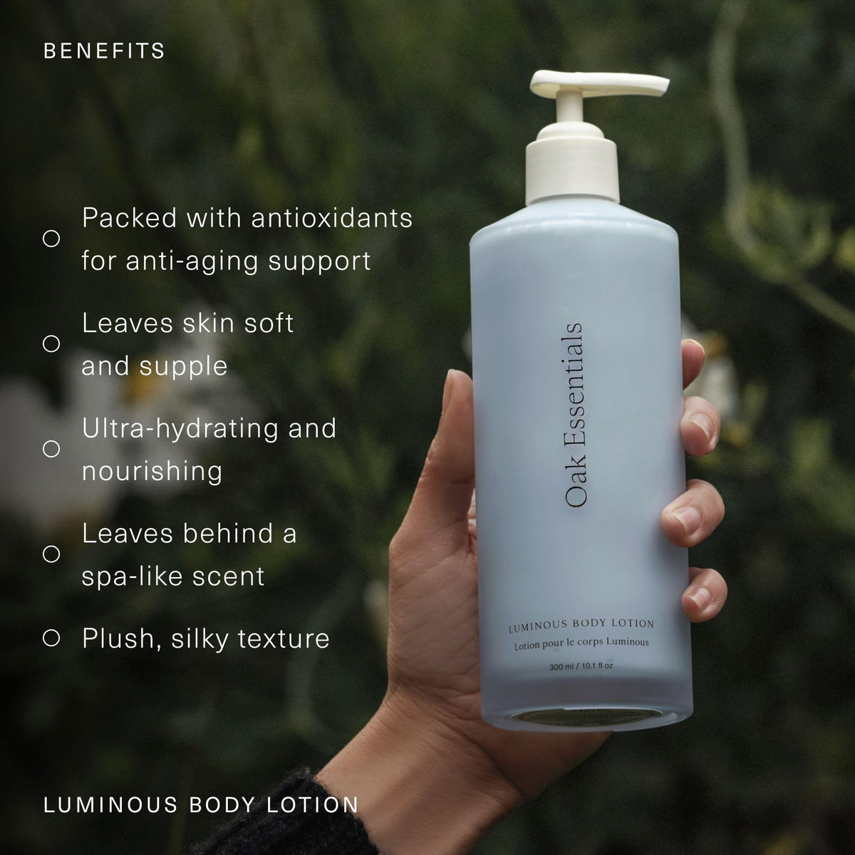 Oak Essentials Luminous Body Lotion, Hydrating Body Lotion for Women with Blue Tansy, Rose Oil, Shea Butter and Coconut Oil, Lightweight Moisturizer for Dry and Sensitive Skin, 10.1 Fl Oz