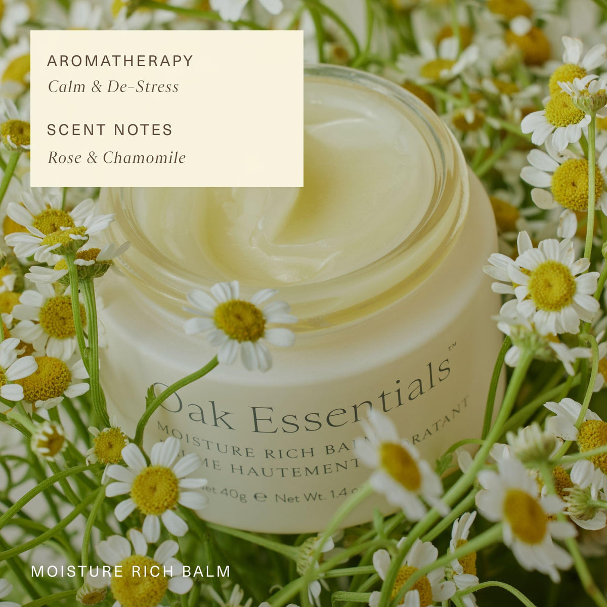 Oak Essentials Moisture Rich Face Balm, Hydrating Balm-to-Oil Face Moisturizer with Sea Buckthorn and Coconut Oils, Nourishing Skincare for Dry Skin, Dewy Finish, 1.4 Oz