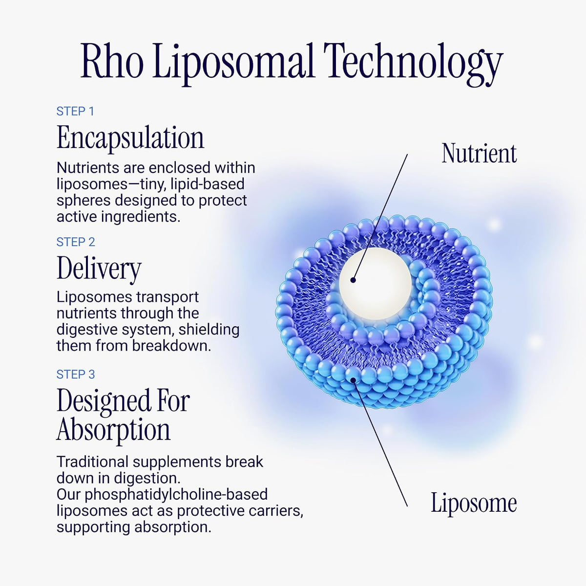 Rho Nutrition Liposomal Magnesium Liquid Supplement